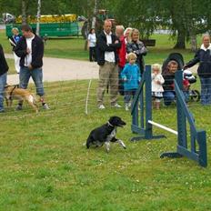 Blanding af racer Mie