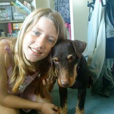 Tysk jagtterrier rossi