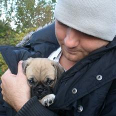 Blanding af racer Bumle :) (fået nyt hjem)
