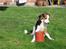 Kooikerhondje Dixie ** solgt **