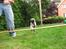 Mops Ibber *R.I.P* - Ibber springer :D