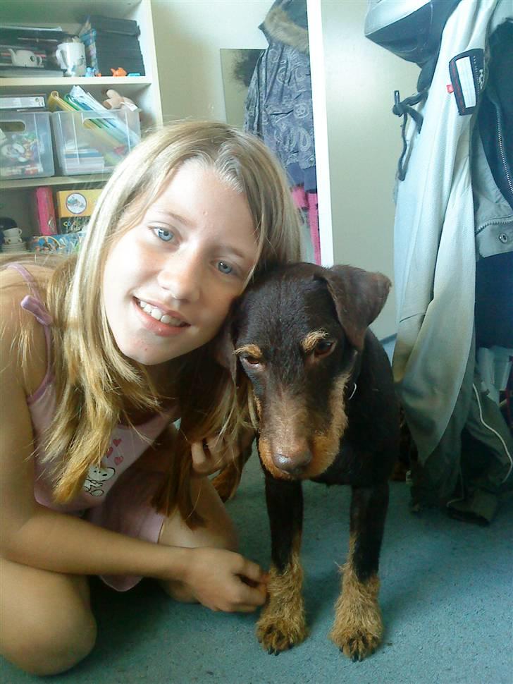 Tysk jagtterrier rossi - mig og rossi hygger billede 1