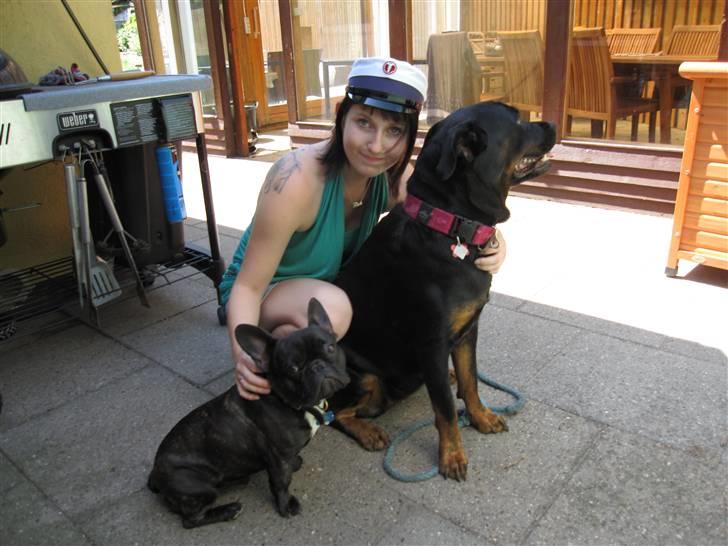 Fransk bulldog Boris RIP d 1/11 10 ): billede 7