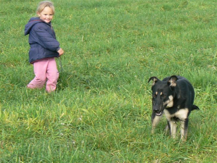 Blanding af racer Smilla billede 13