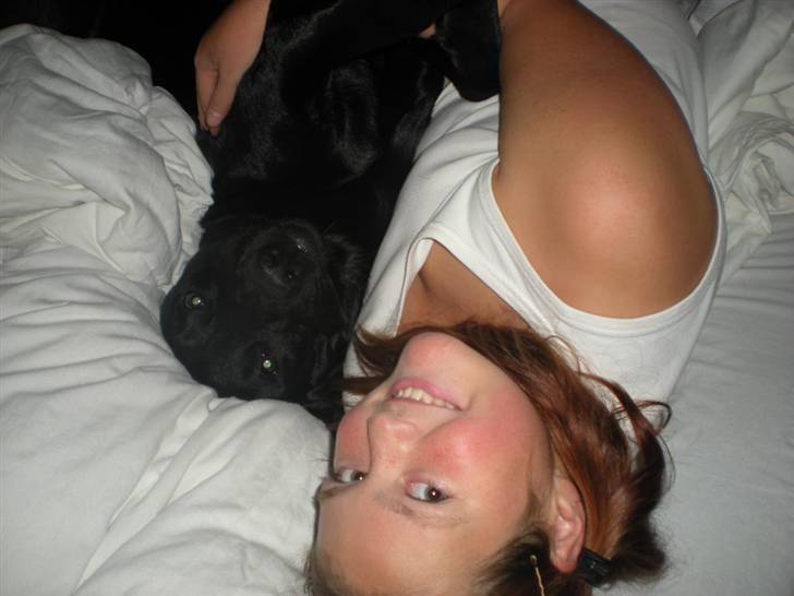 Labrador retriever Luka (ILOVEYOU)<3 - hygge hygge !!!  i mor og lasse´s seng hihi :) billede 12