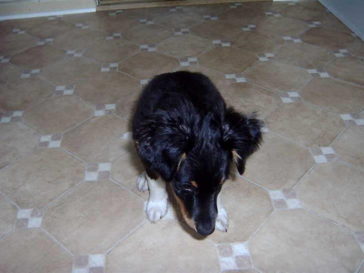 Blanding af racer Taico R.I.P. billede 7