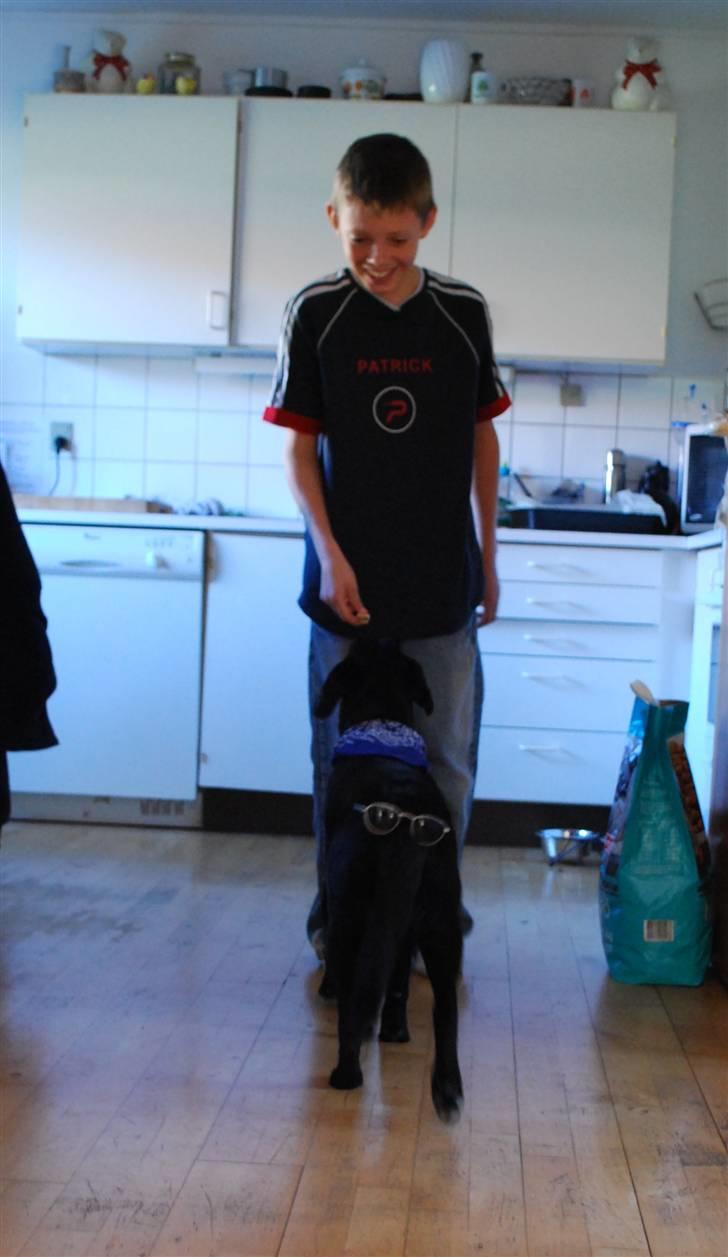 Blanding af racer Tyson billede 18