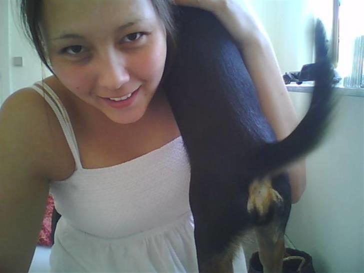 Dvaergpinscher Malou - Jeg er så glad for dig mor.. billede 7