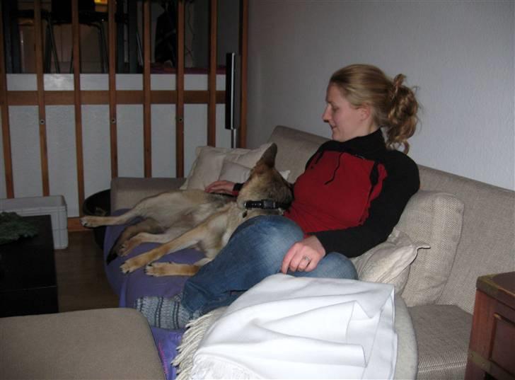 Schæferhund Frida <3 R.I.P. oktober 2012 <3 - venindehygge:) billede 8