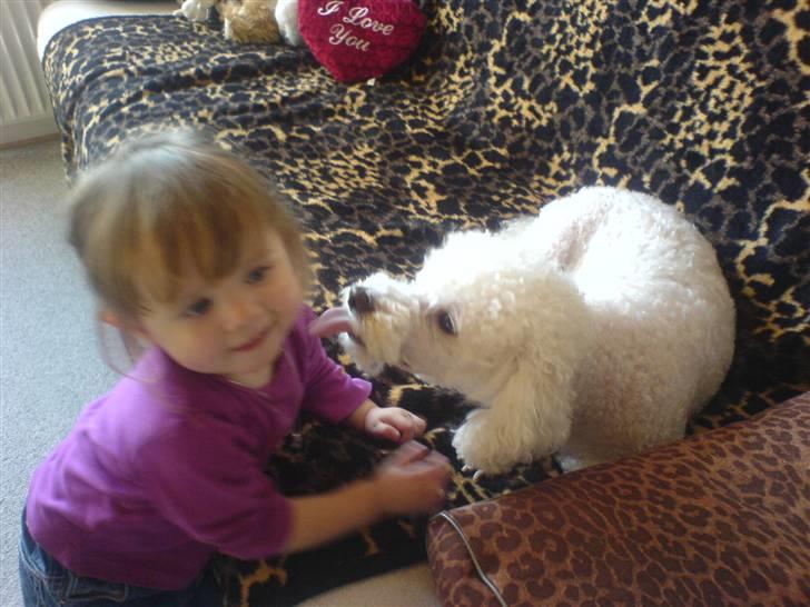 Blanding af racer Bino - r.i.p <3 billede 2