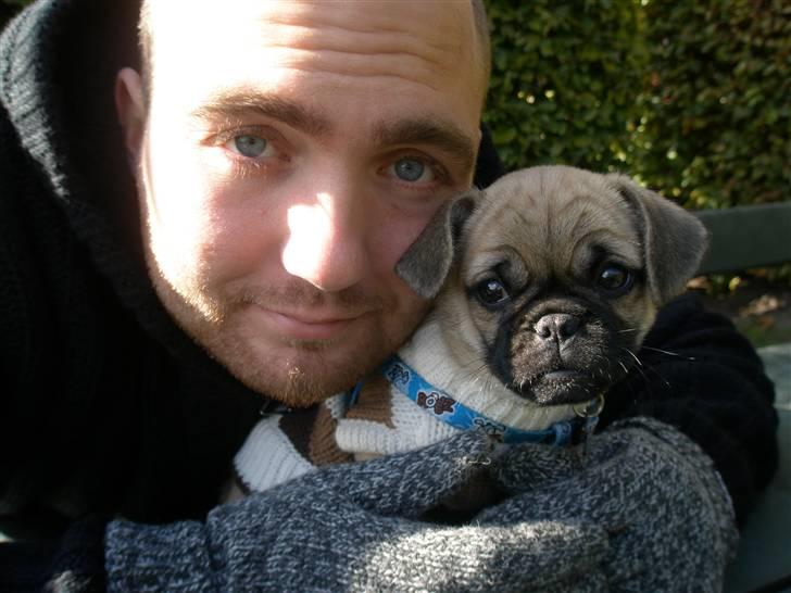 Blanding af racer Bumle :) (fået nyt hjem) billede 9