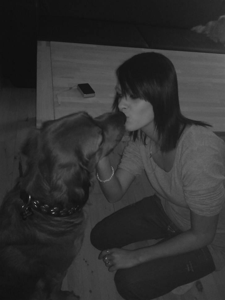 Blanding af racer Pumba billede 14