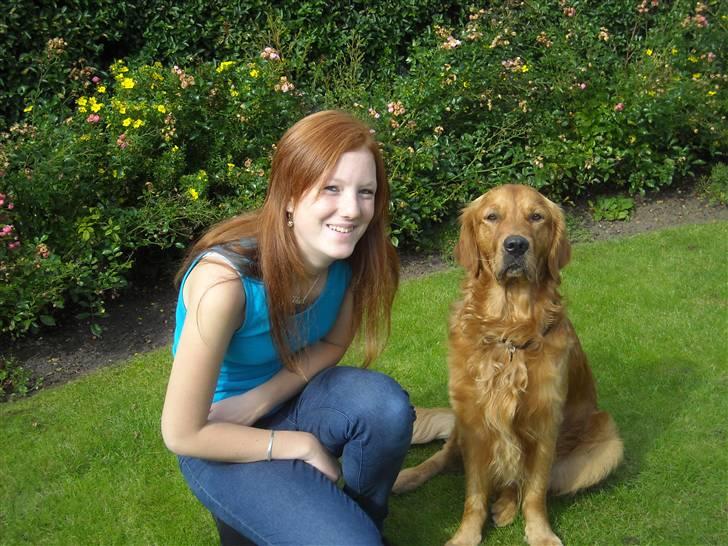 Golden retriever Luca - mig og luca<3 billede 3