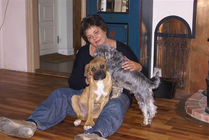 Blanding af racer Buster - Ha...nu er jeg større end Holm billede 7