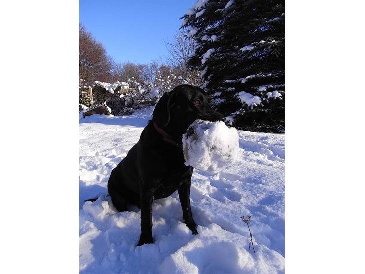 {{currentPhoto.altText}} billede {{currentPhoto.number}}