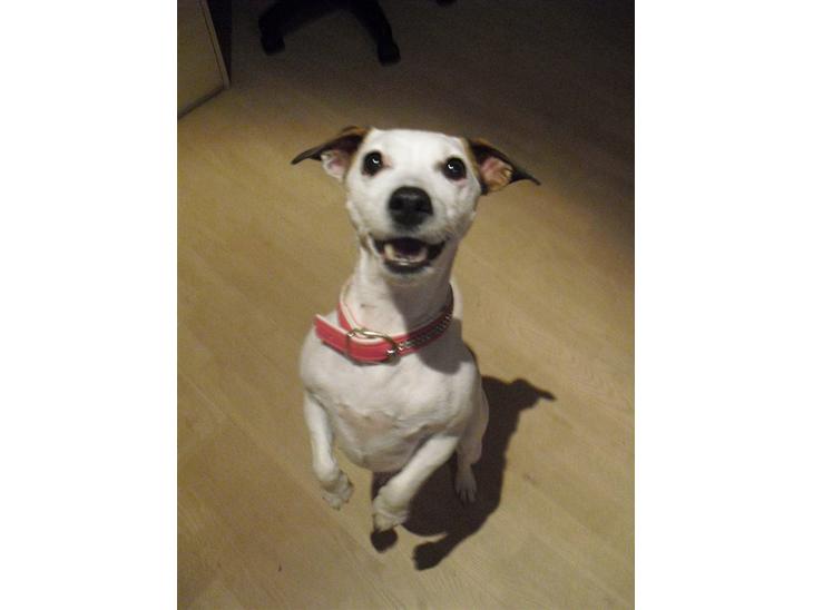 {{currentPhoto.altText}} billede {{currentPhoto.number}}