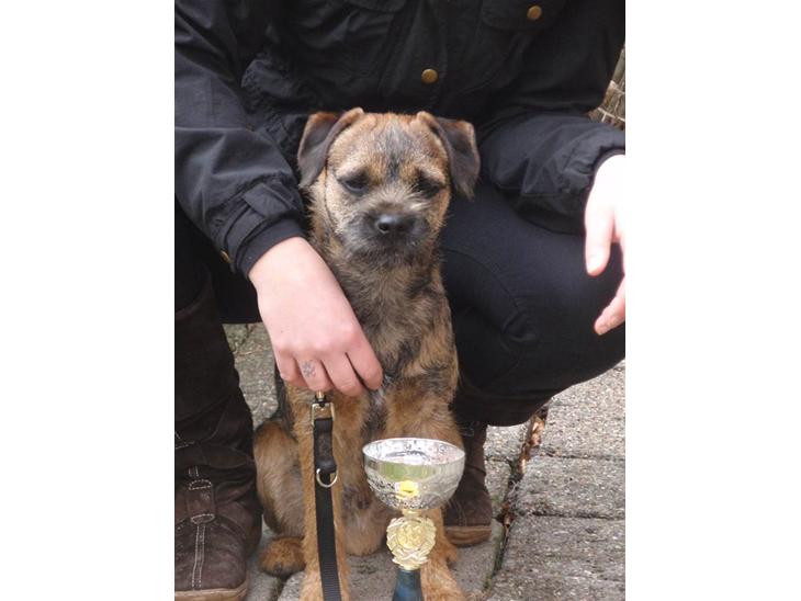 {{currentPhoto.altText}} billede {{currentPhoto.number}}