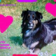 Blanding af racer Freja