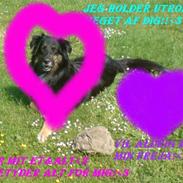 Blanding af racer Freja