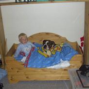 Olde english bulldogge Victor