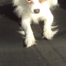 Blanding af racer Laura