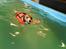 Kooikerhondje Tagas Topsi R.I.P