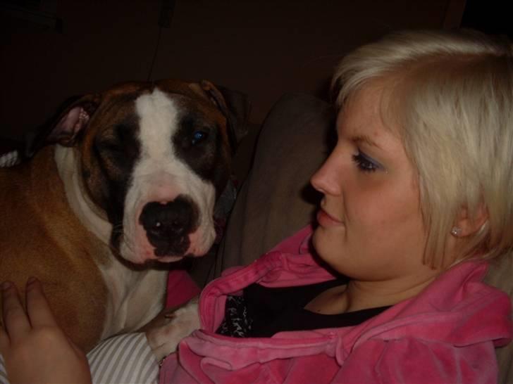 Blanding af racer Lucy billede 11