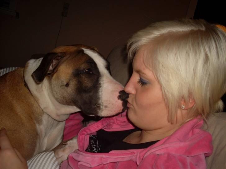 Blanding af racer Lucy billede 12