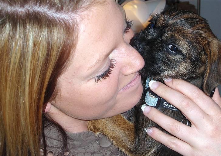 Border terrier Lutra´s Glenlivet (Coppi) billede 7