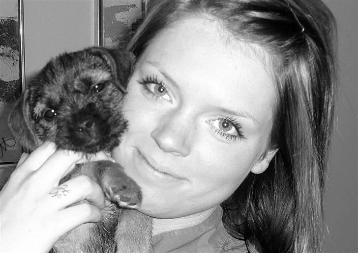 Border terrier Lutra´s Glenlivet (Coppi) billede 8