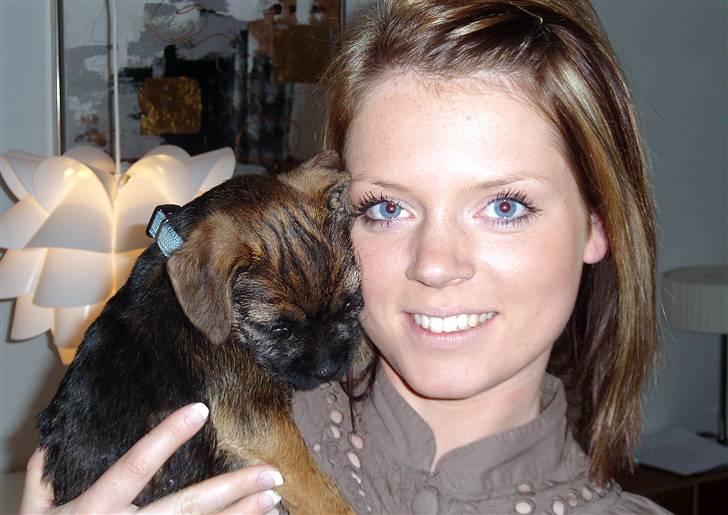 Border terrier Lutra´s Glenlivet (Coppi) billede 9