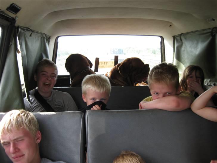 Dogue de bordeaux Pretty R.I.P. - Pretty er vældig god til at slå en fis i bilen billede 13