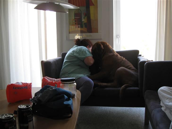 Dogue de bordeaux Pretty R.I.P. - Pretty og mor har en tøsesludder som ingen andre skal høre. billede 14