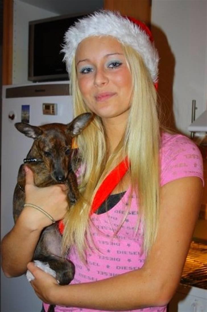 Blanding af racer | Vanity  - Vanity og jeg :) foto; chris billede 14