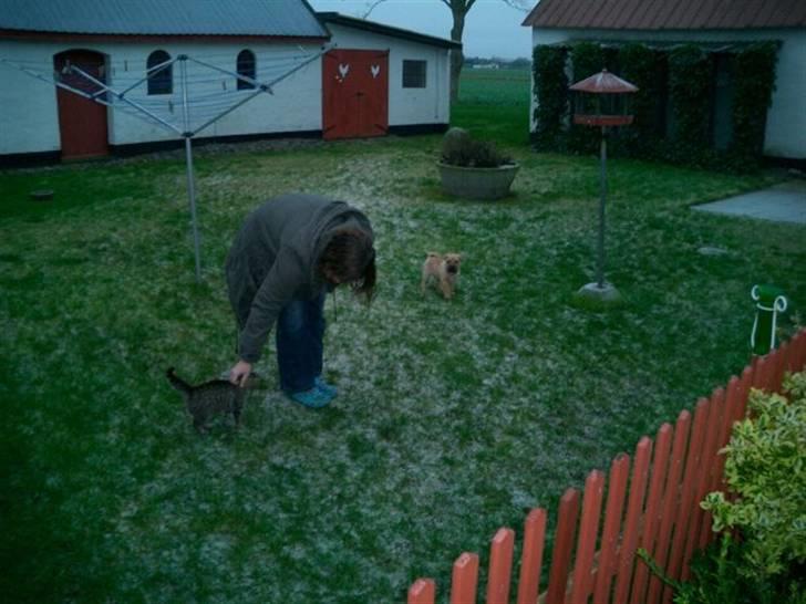 Shar pei Balu - min mor og min ven Kitty, ja og mig.. billede 3