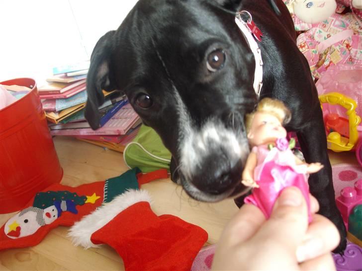 Blanding af racer gala - Mmm dukke.. billede 17