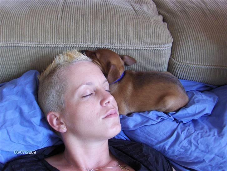 Blanding af racer king billede 1