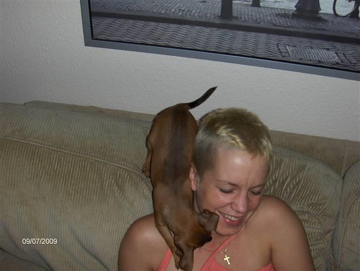 Blanding af racer king billede 3