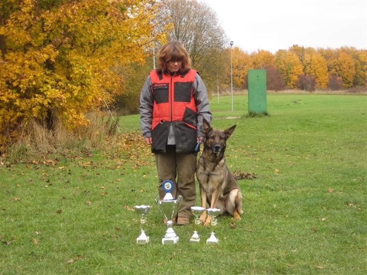 Schæferhund Dj'appes Ippe R.I.P. - kredsmester 2009 billede 19