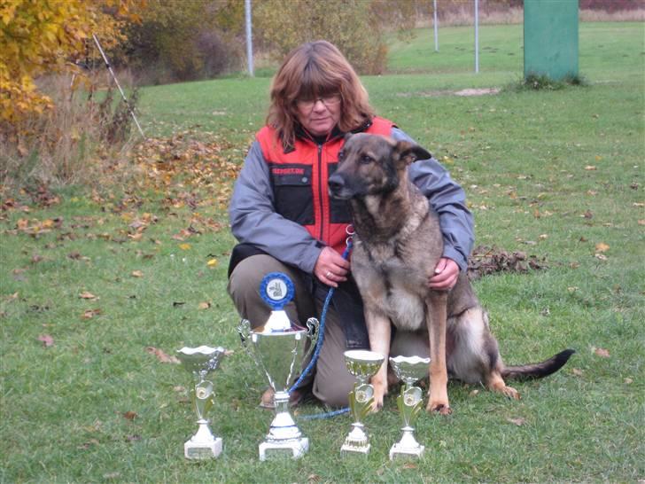 Schæferhund Dj'appes Ippe R.I.P. - kredsmester 2009 billede 20