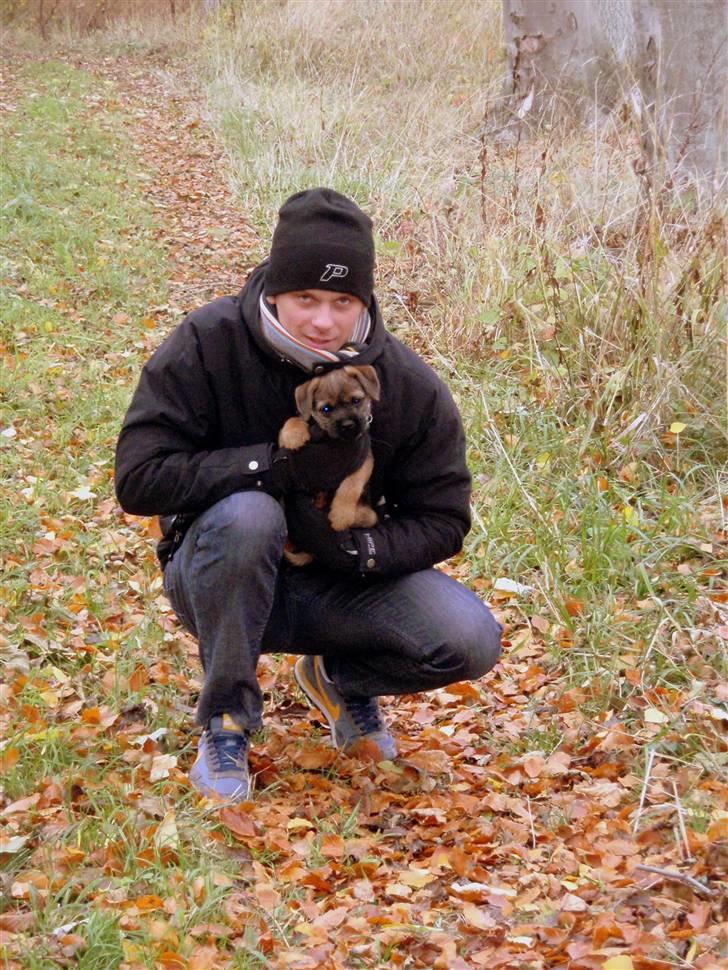 Border terrier Lutra´s Glenlivet (Coppi) - Her sammen med far:) billede 10