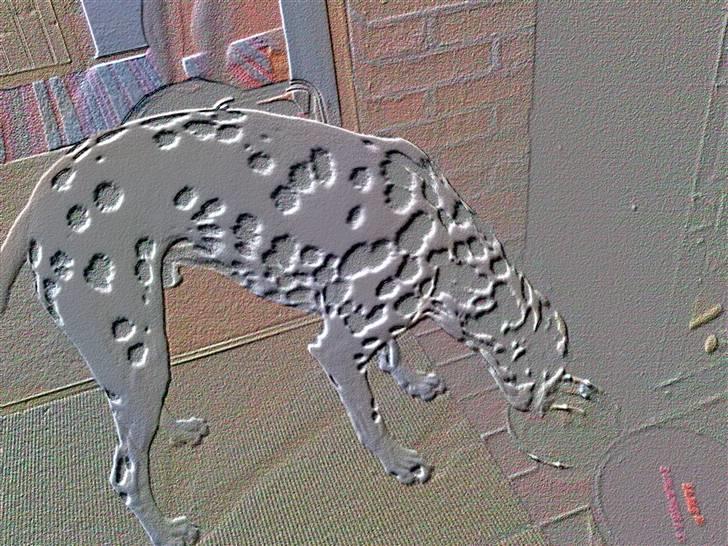 Dalmatiner Valde*himmel hund* :'(<3 - nej hvad er der nu sket billede 8