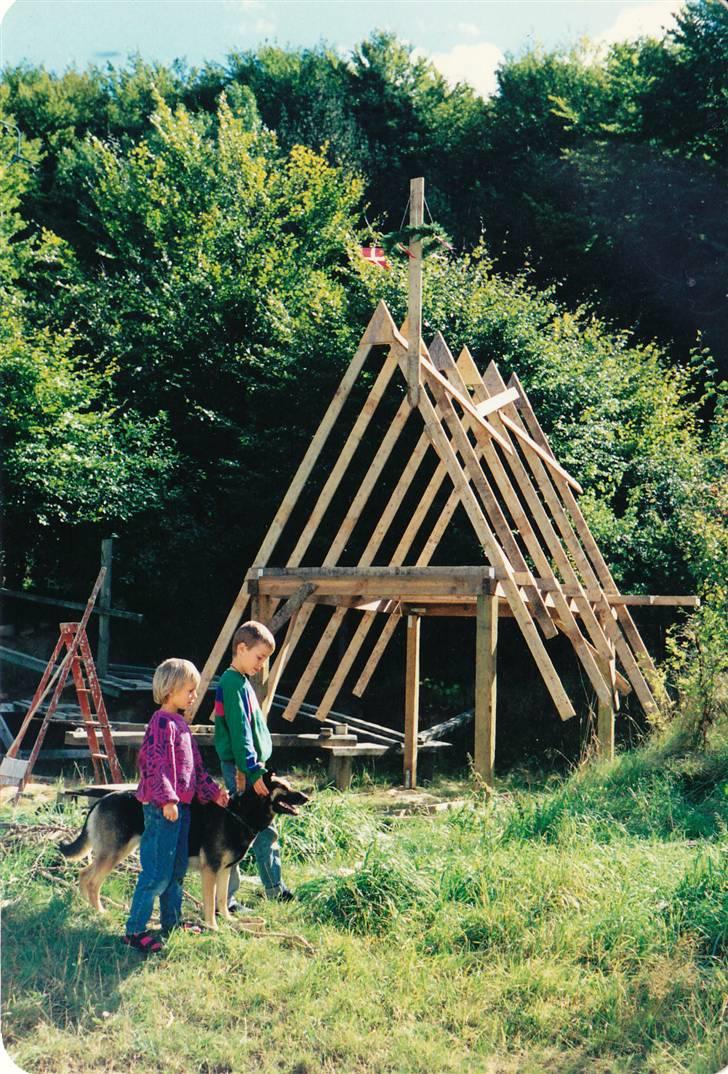 Schæferhund Kiki <3 <3 R.I.P. - Dejlig masse sne:) billede 1