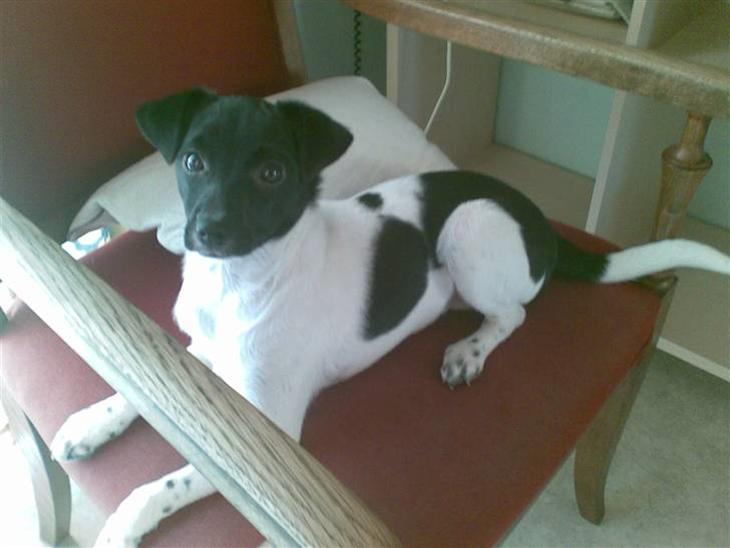 {{currentPhoto.altText}} billede {{currentPhoto.number}}