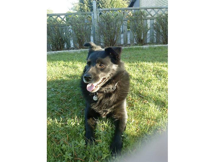 {{currentPhoto.altText}} billede {{currentPhoto.number}}