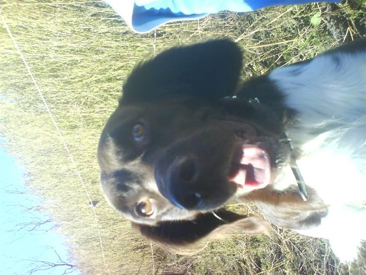 {{currentPhoto.altText}} billede {{currentPhoto.number}}