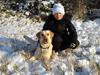 Labrador retriever Pixi