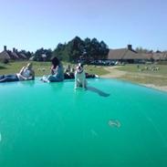 Amerikansk bulldog Tasja