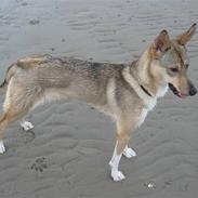 Blanding af racer Barca