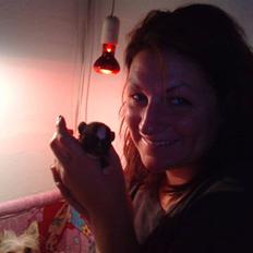 Blanding af racer Tue